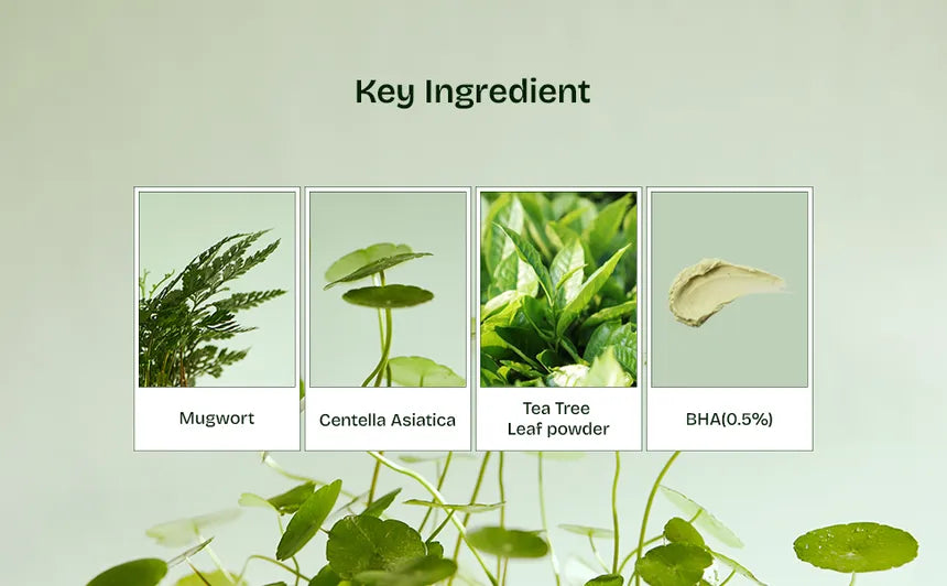 Orien - Mugwort Zero Film Cleansing Foam